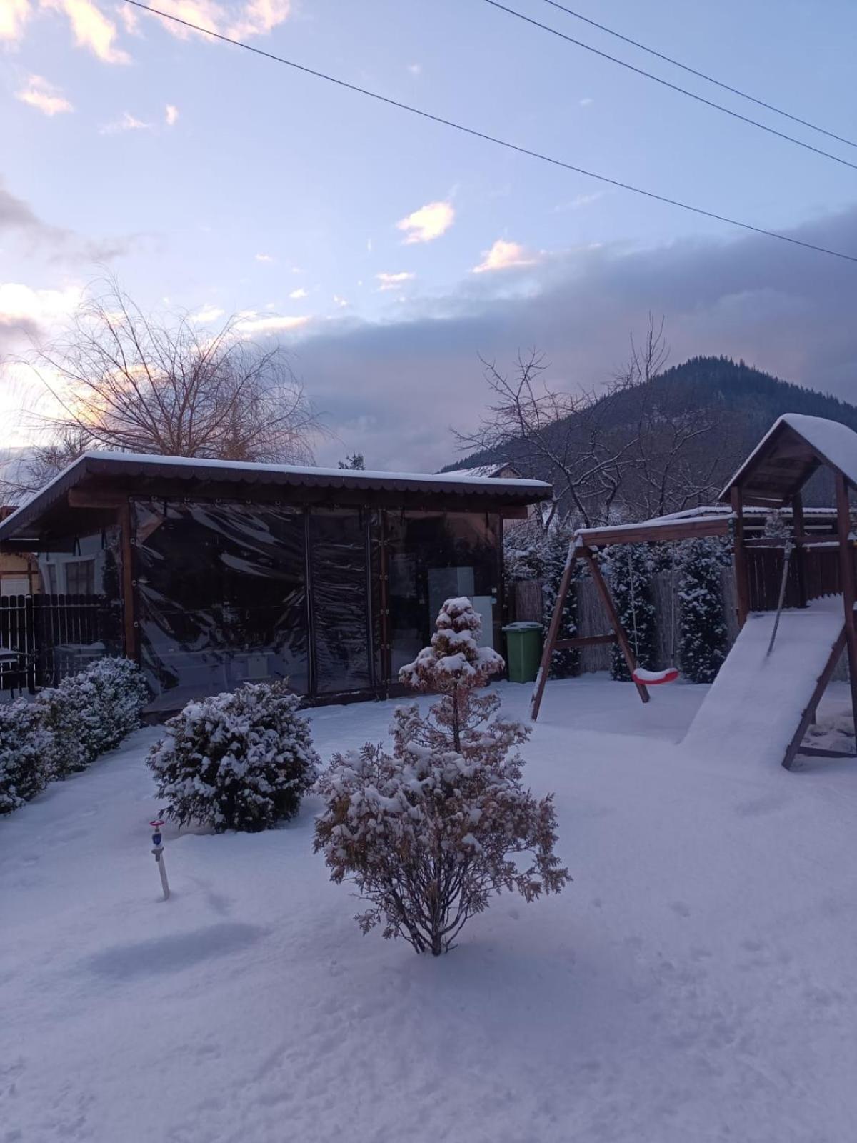 Residence Rooms Bucovina 坎普朗莫道尼斯 外观 照片