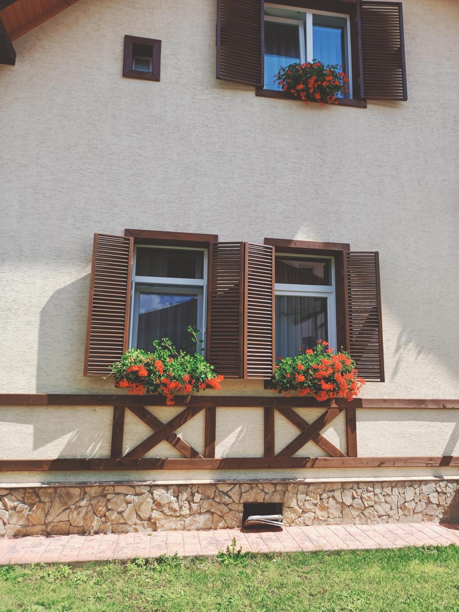 Residence Rooms Bucovina 坎普朗莫道尼斯 外观 照片