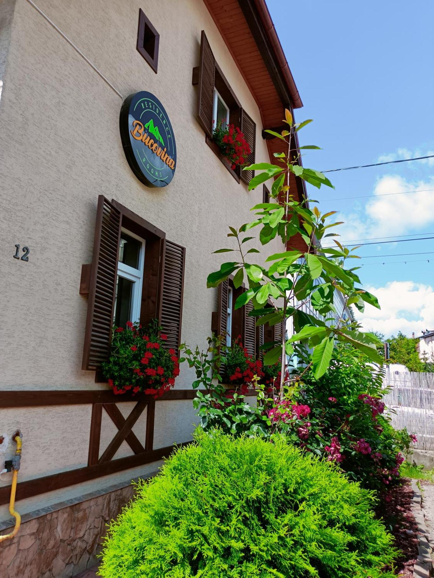 Residence Rooms Bucovina 坎普朗莫道尼斯 外观 照片