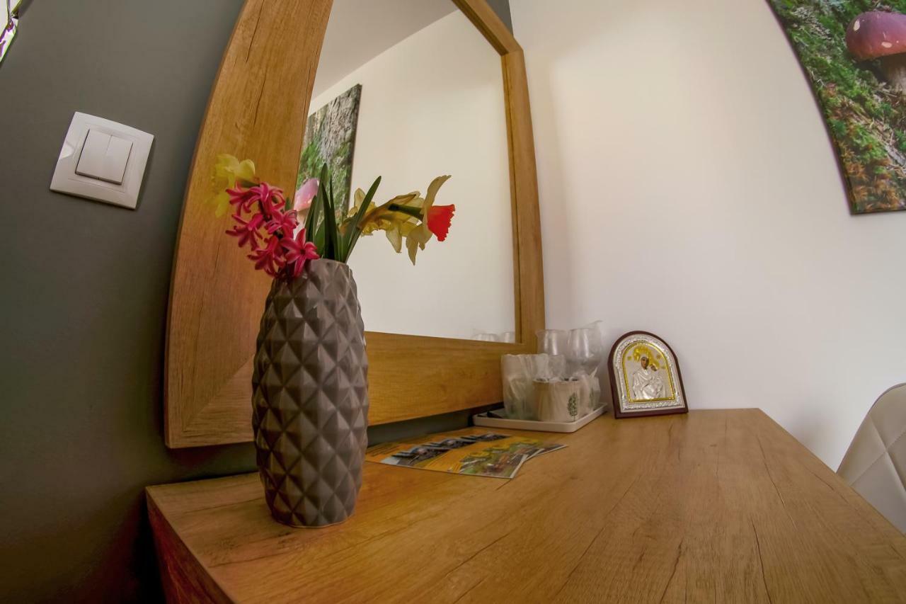 Residence Rooms Bucovina 坎普朗莫道尼斯 外观 照片